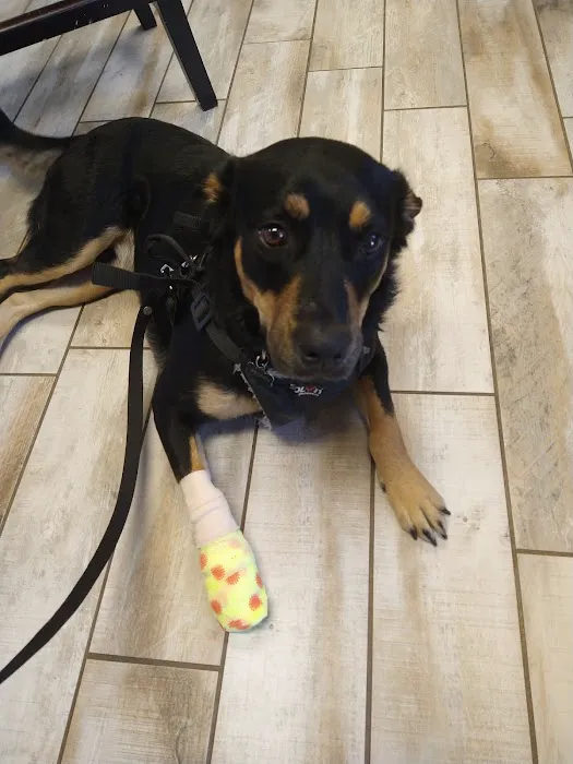 Sealy Animal Hospital 12
