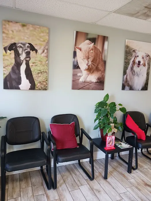 Sealy Animal Hospital 12