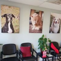 Sealy Animal Hospital ico