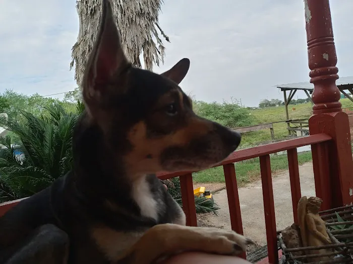 Sealy Veterinary Clinic 12