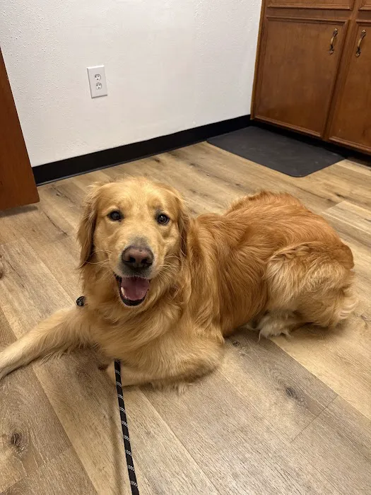 Sealy Veterinary Clinic 12