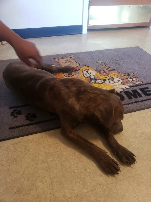 Sealy Veterinary Clinic 12