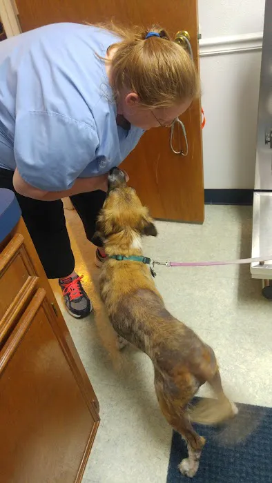 Sealy Veterinary Clinic 12