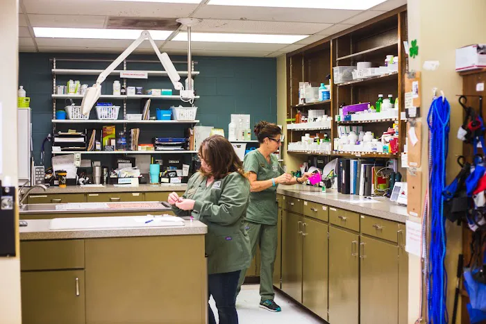 Brenham Veterinary Hospital 4