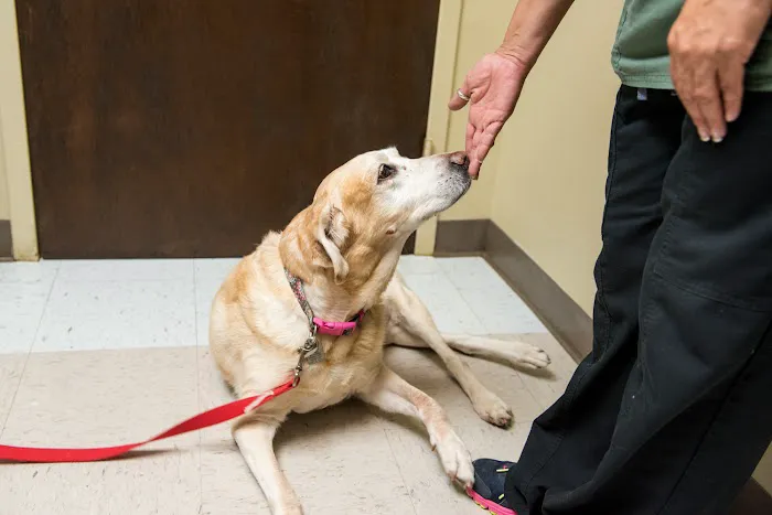 Brenham Veterinary Hospital 3