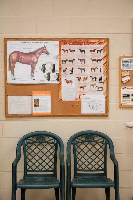 Brenham Veterinary Hospital 9