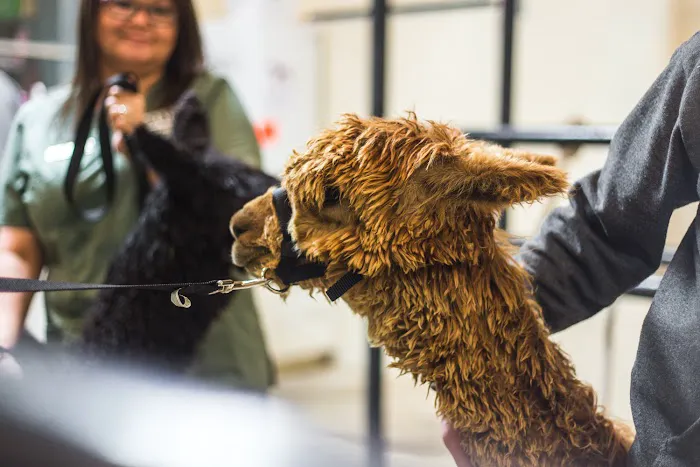 Brenham Veterinary Hospital 6