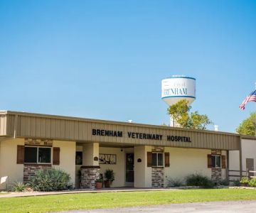 Brenham Veterinary Hospital