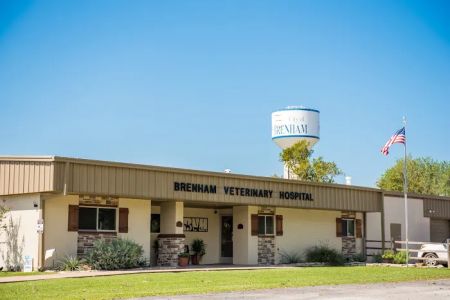 Brenham Veterinary Hospital