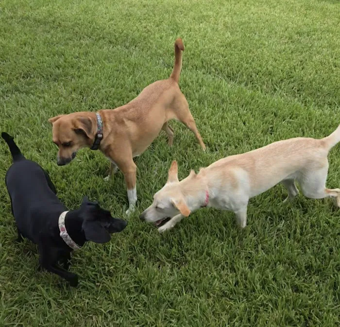 Brenham Veterinary Hospital 2