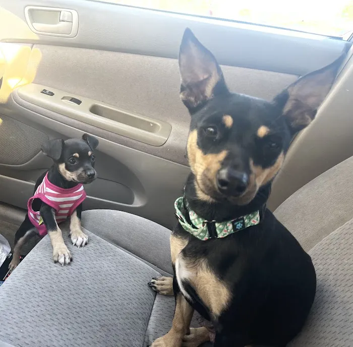 Washington Animal Clinic 12