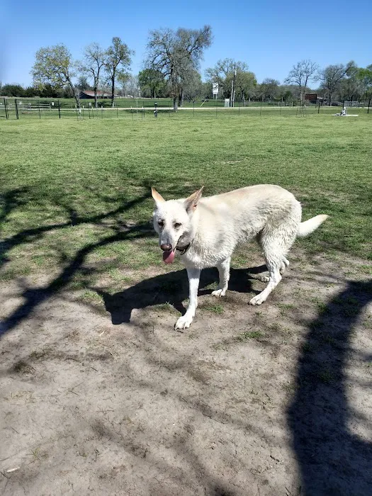 Washington Animal Clinic 12