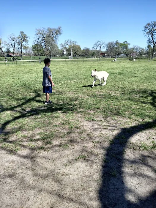 Washington Animal Clinic 12