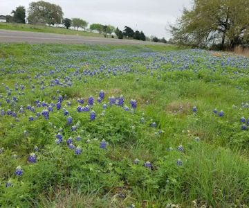 Animal Friends of Washington County veterinary clinic AND dog park