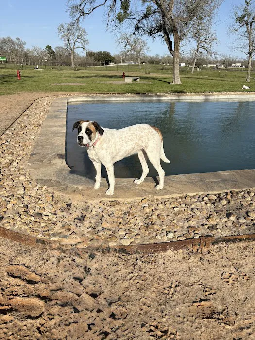 Animal Friends of Washington County veterinary clinic AND dog park 12