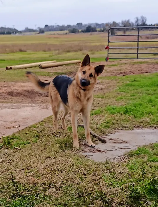 Animal Friends of Washington County veterinary clinic AND dog park 12