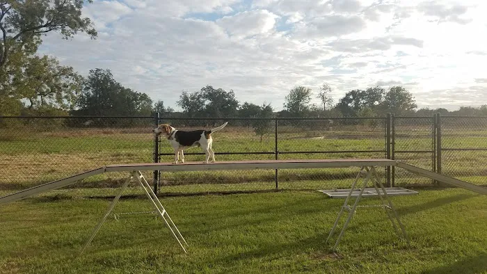 Animal Friends of Washington County veterinary clinic AND dog park 12