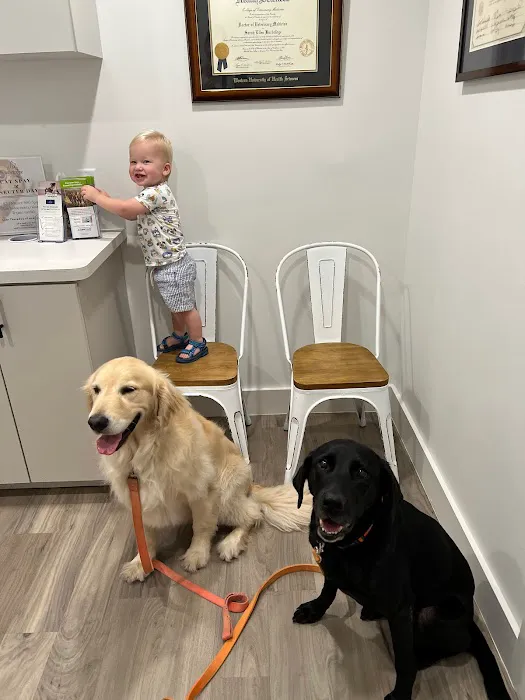 Watermark Veterinary Hospital 12
