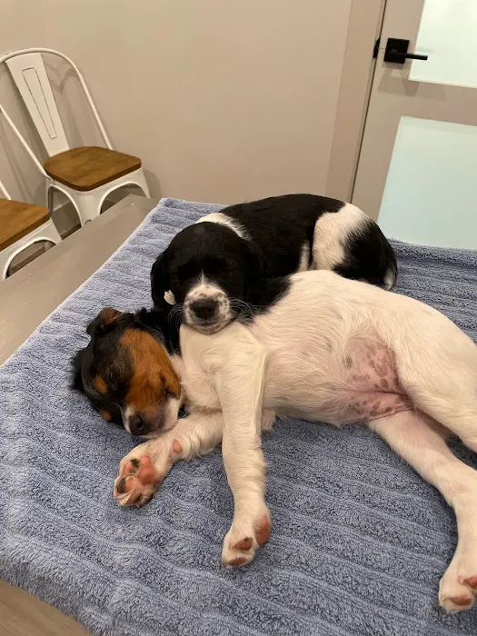 Watermark Veterinary Hospital 12