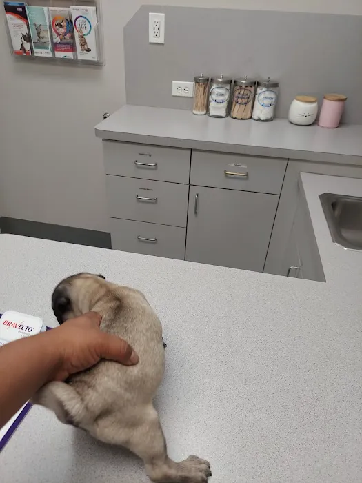 Wellborn Road Veterinary Medical Center 12