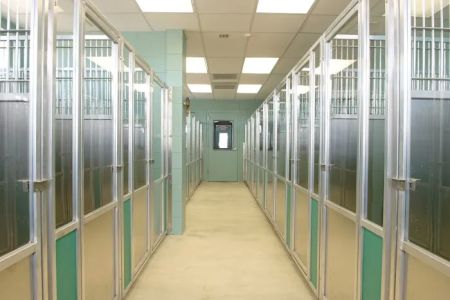 Waggie Pet Zone