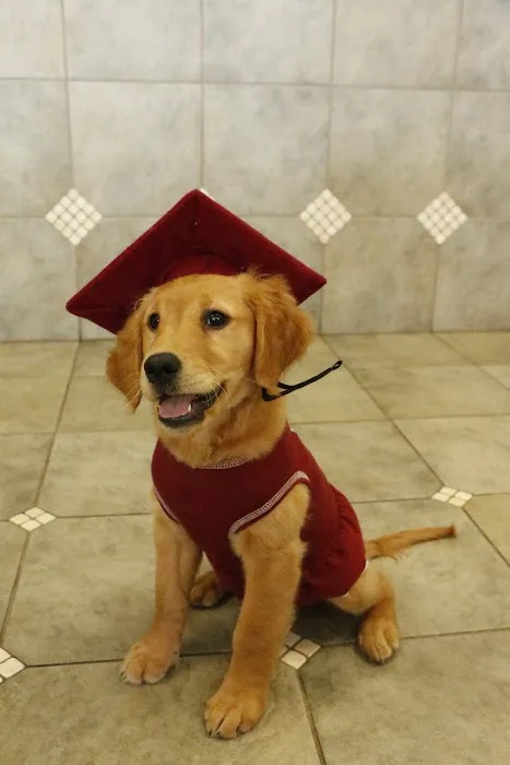 Waggie Pet Zone 12