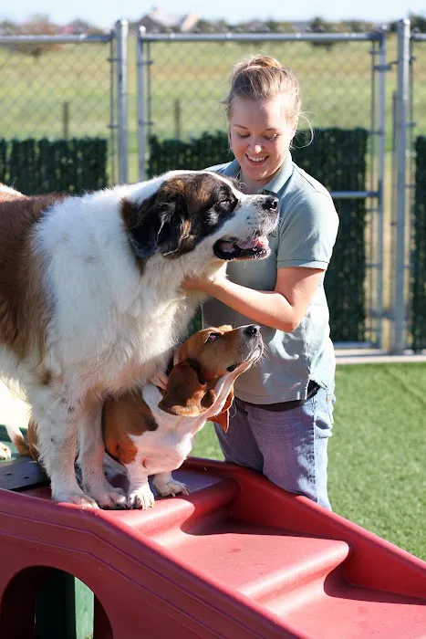 Waggie Pet Zone 12