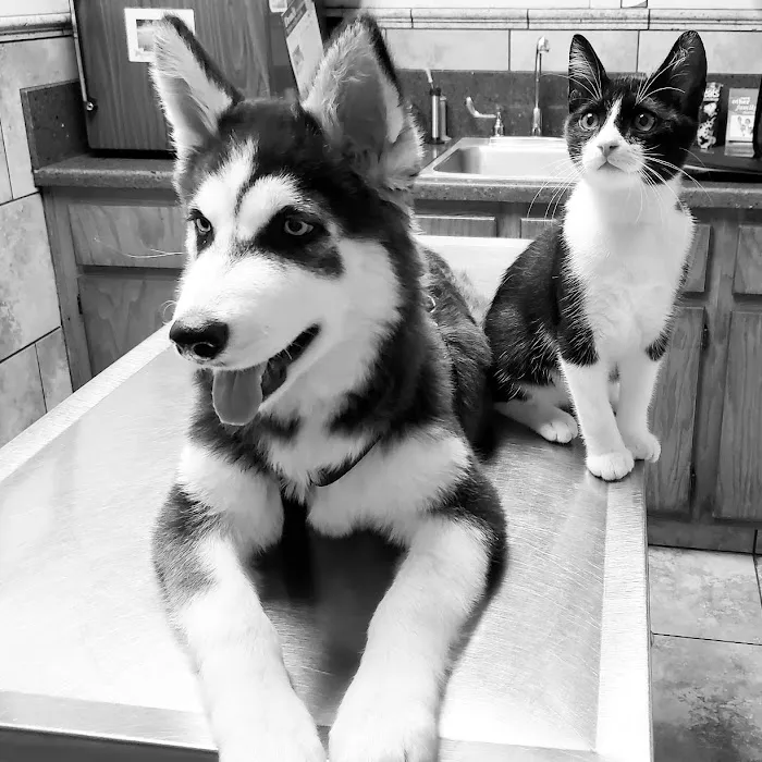 Highway 30 Veterinary Clinic 12