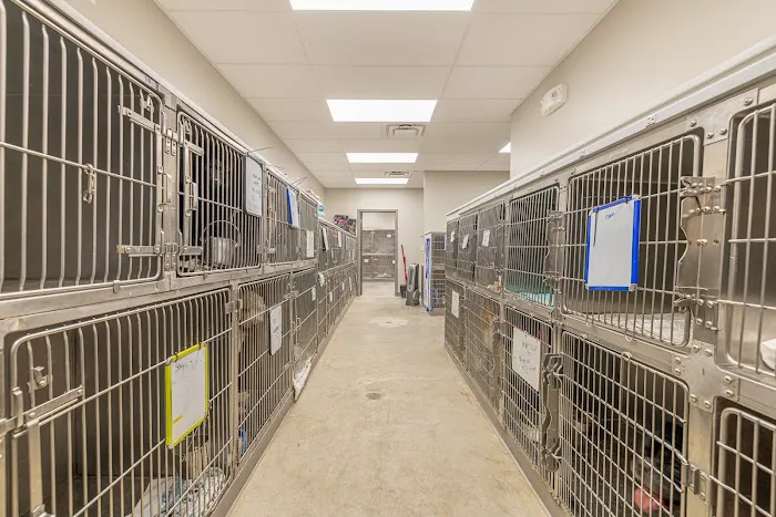 Highway 30 Veterinary Clinic 12