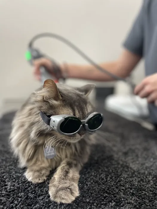 Summit Veterinary Hospital 12