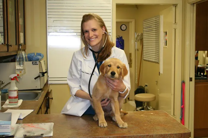 Van Stavern Small Animal Hospital 12