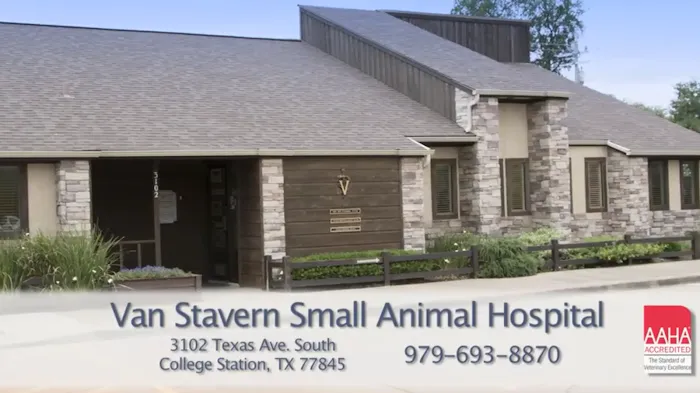 Van Stavern Small Animal Hospital 12