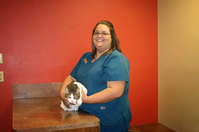 Van Stavern Small Animal Hospital 12