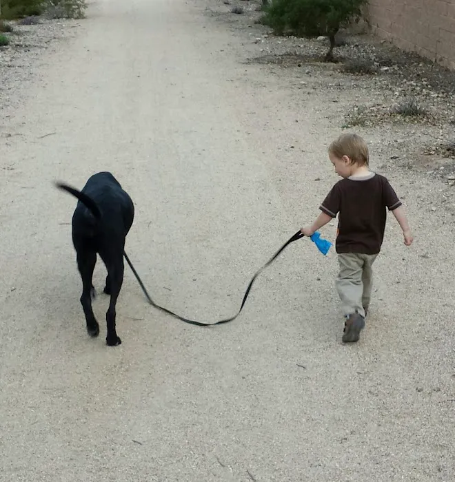 Simonson Veterinary Services 12