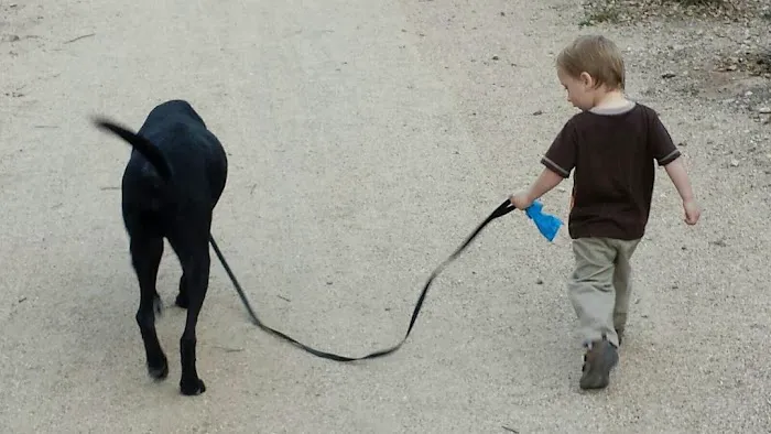 Simonson Veterinary Services 12