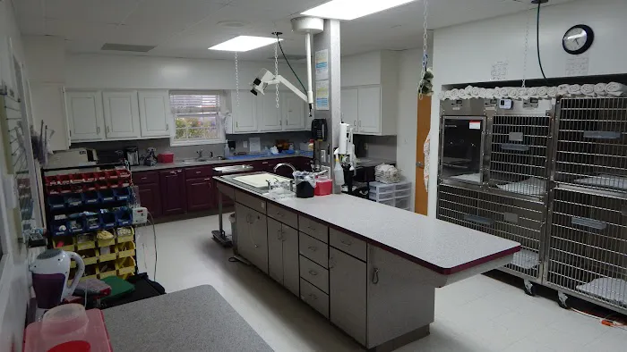 All Pets Veterinary Medical Center 12