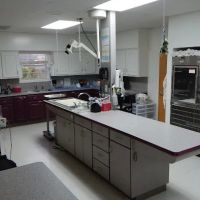 All Pets Veterinary Medical Center ico