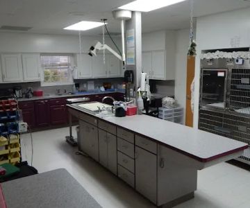 All Pets Veterinary Medical Center