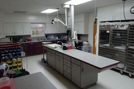 All Pets Veterinary Medical Center