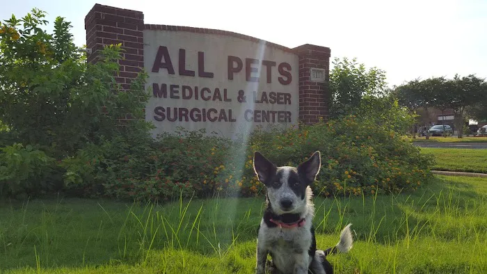 All Pets Veterinary Medical Center 12