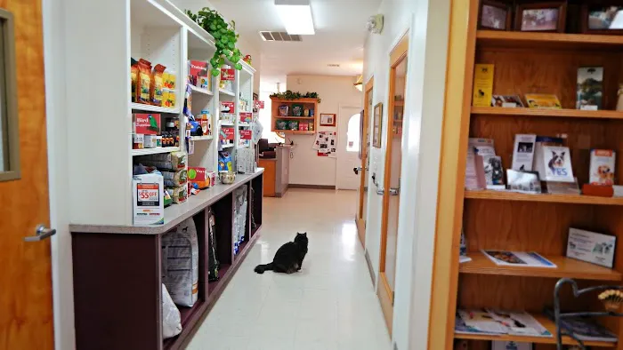 All Pets Veterinary Medical Center 12