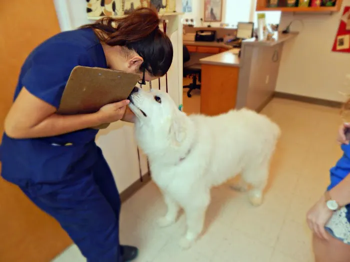All Pets Veterinary Medical Center 12