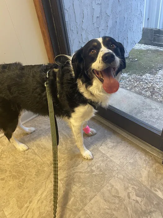Southwood Valley Animal Hospital 12