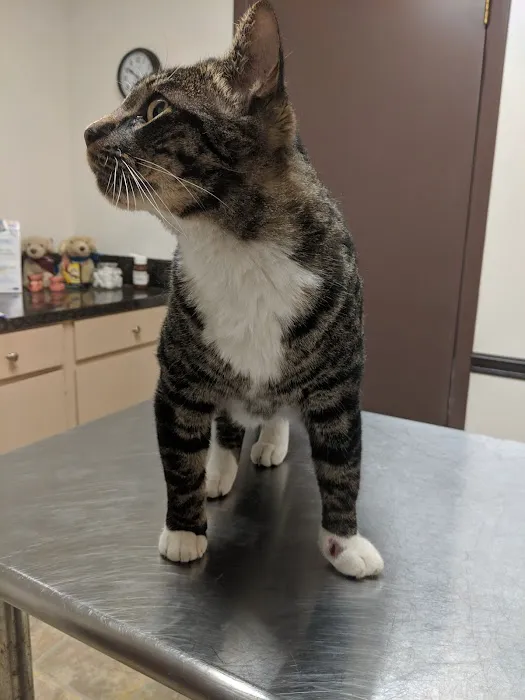 Anderson Ridge Veterinary Hospital 7