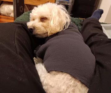 Anderson Ridge Veterinary Hospital