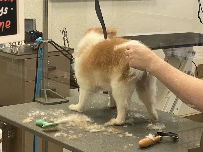 Vetco Total Care Animal Hospital 12