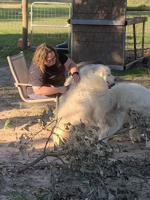 Vetco Total Care Animal Hospital 12