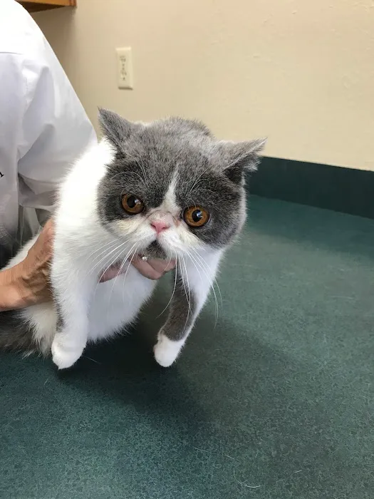College Hills Veterinary Hospital 12