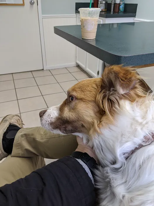 College Hills Veterinary Hospital 12