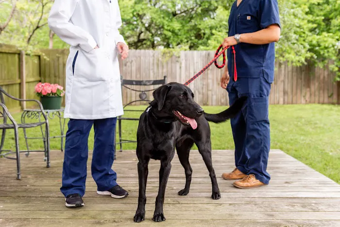 College Hills Veterinary Hospital 12